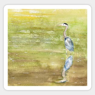 Great Blue Heron Reflects Sticker